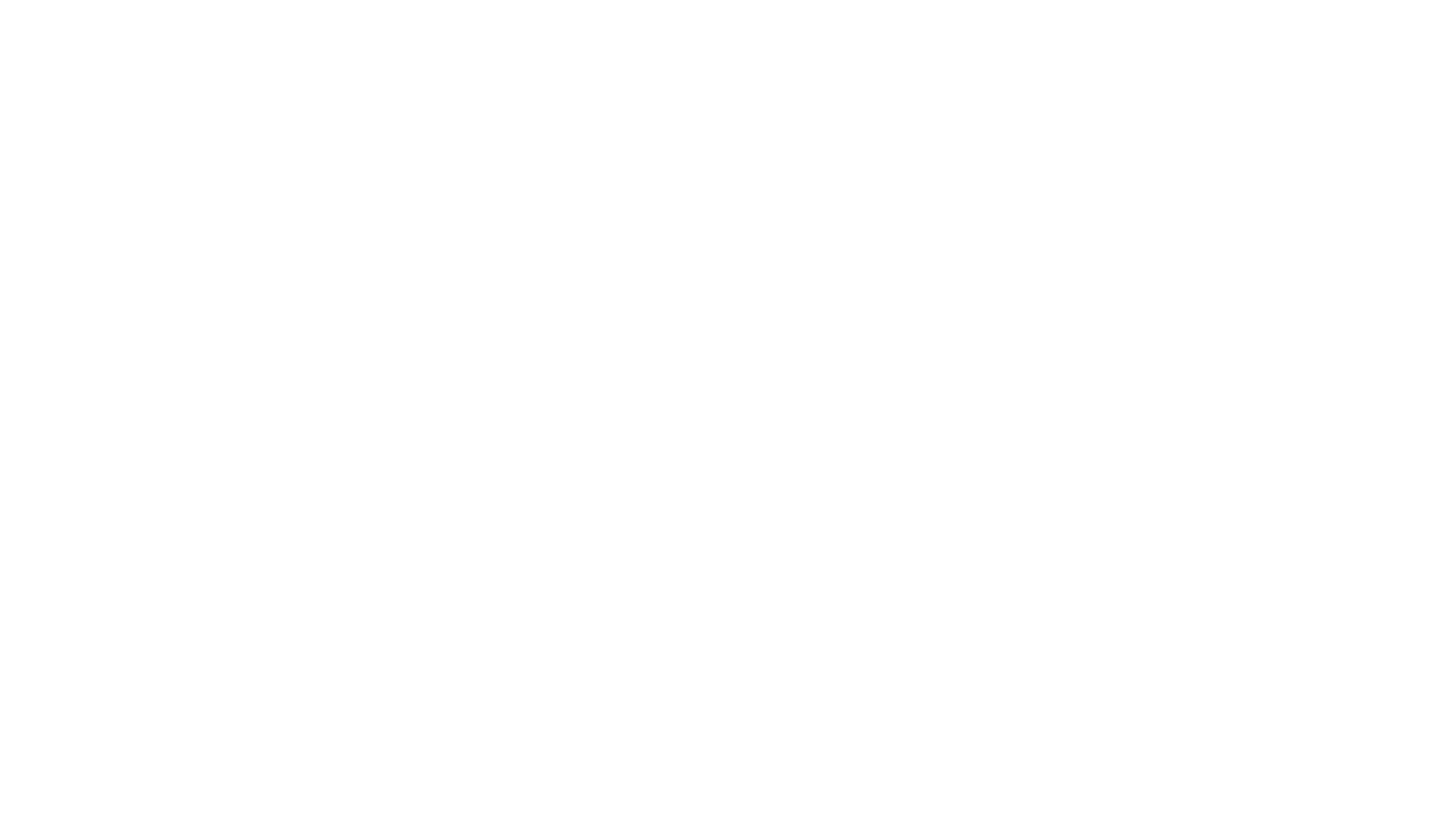 Youth Parliament Elections logo